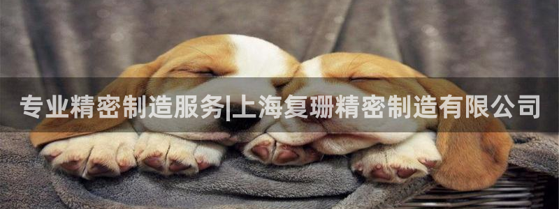 彩神v8手机客户端：专业精密制造服务|上海复珊精密制造有限公司