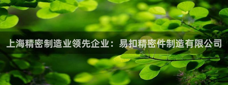 彩神vll首页企业文化：上海精密制造业领先企业：易扣精密件制造有限公司