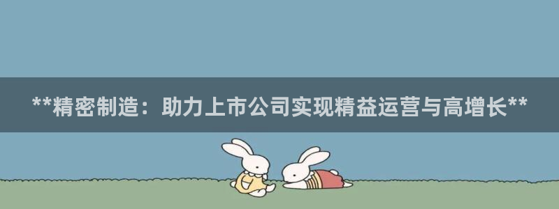 彩神v1破解器：**精密制造：助力上市公司实现精益运营与高增长**