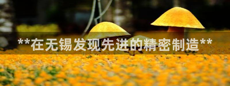 彩神V购彩大厅：**在无锡发现先进的精密制造**