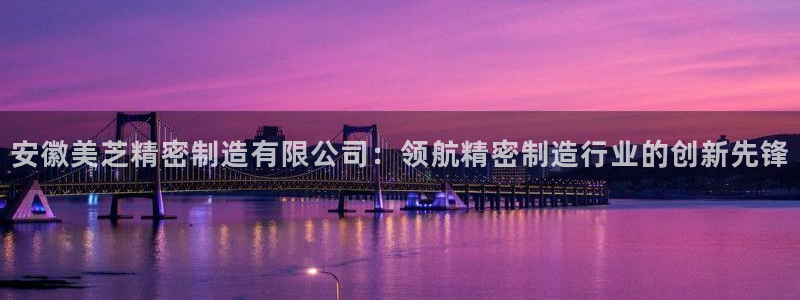 彩神VII官方版：安徽美芝精密制造有限公司：领航精密制造行业的创新先锋