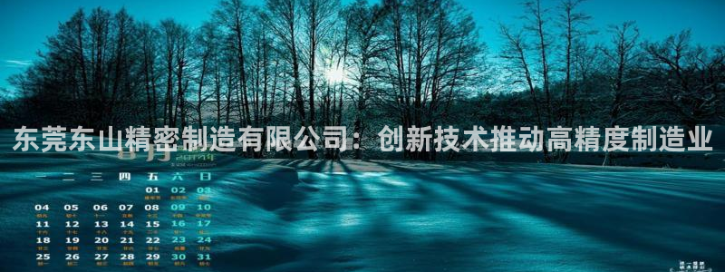彩神V购彩大厅：东莞东山精密制造有限公司：创新技术推动高精度制造业