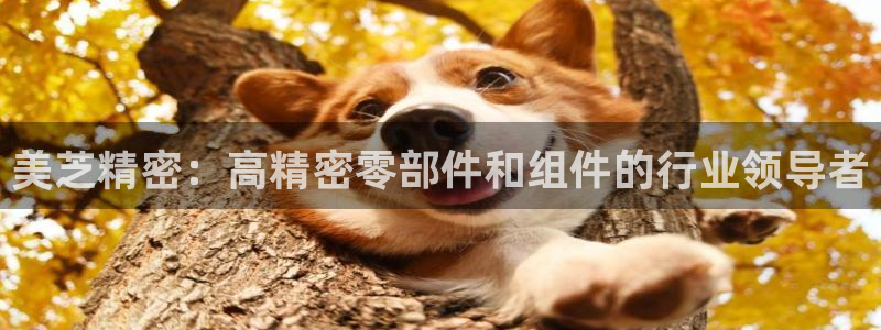 彩神怎么样可以提现：美芝精密：高精密零部件和组件的行业领导者