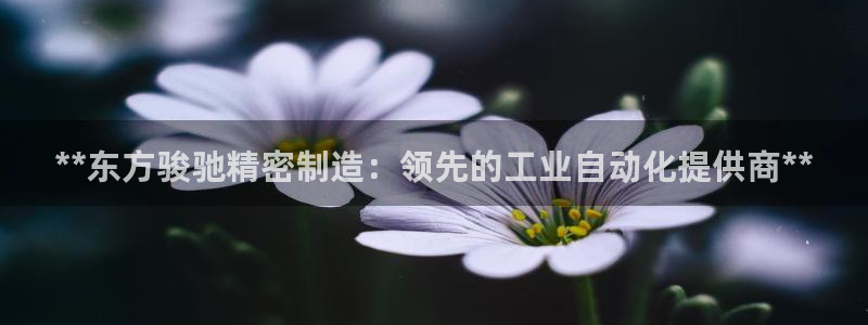 彩神8官网版是正规的吗
