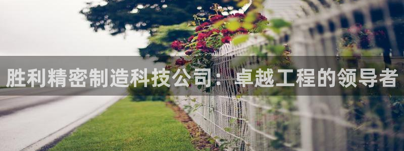 彩神平台是什么套路：胜利精密制造科技公司：卓越工程的领导者