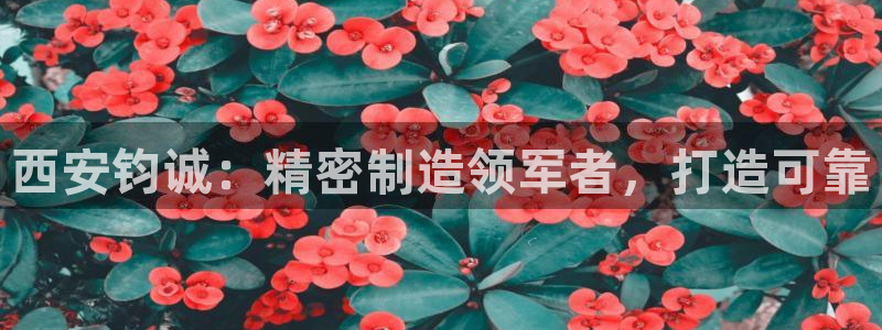 彩神vl购彩大厅：西安钧诚：精密制造领军者，打造可靠