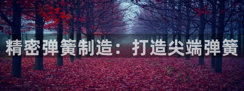 彩神是正规平台吗安全吗：精密弹簧制造：打造尖端弹簧
