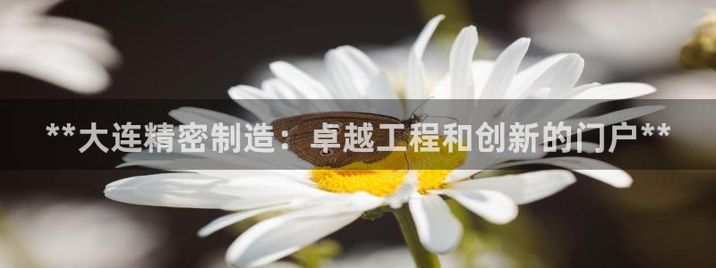 下载彩神乐发V：**大连精密制造：卓越工程和创新的门户**
