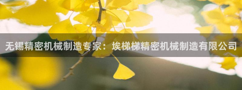 彩神购彩购彩大厅入口v：无锡精密机械制造专家：埃梯梯精密机械制造有限公司