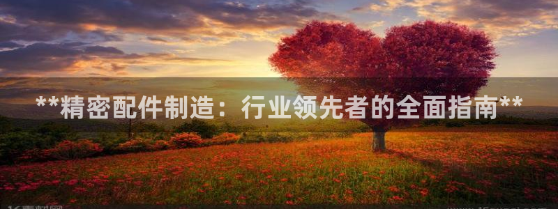 彩神骗局：**精密配件制造：行业领先者的全面指南**