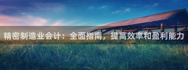 彩神vl官网：精密制造业会计：全面指南，提高效率和盈利能力