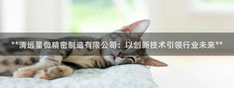 彩神购彩-购彩大厅入口娱乐首选：**清远星微精密制造有限公司：以创新技术引领行业未来**