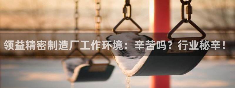 彩神平台：领益精密制造厂工作环境：辛苦吗？行业秘辛！