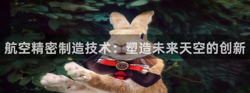 彩神骗局：航空精密制造技术：塑造未来天空的创新