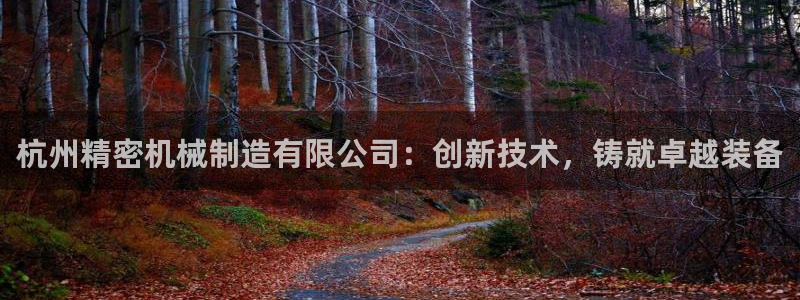 彩神app能挣到钱吗：杭州精密机械制造有限公司：创新技术，铸就卓越装备