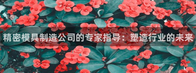 彩神8官网版：精密模具制造公司的专家指导：塑造行业的未来