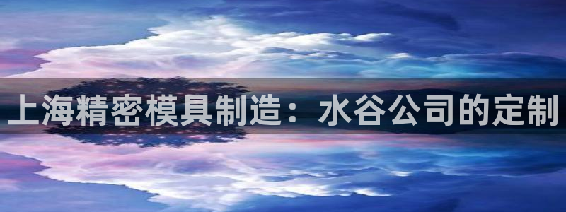彩神ix官网是哪个公司的：上海精密模具制造：水谷公司的定制