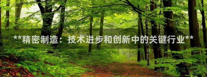 彩神平台是真的吗：**精密制造：技术进步和创新中的关键行业**