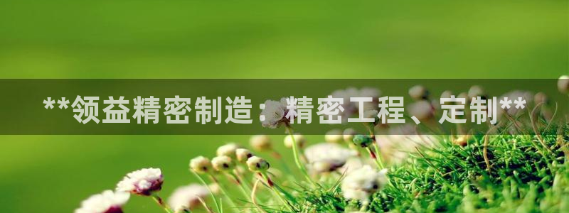彩神ix可靠吗：**领益精密制造：精密工程、定制**