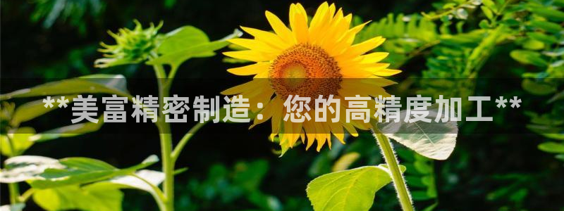 彩神v8是一个什么平台：**美富精密制造：您的高精度加工**