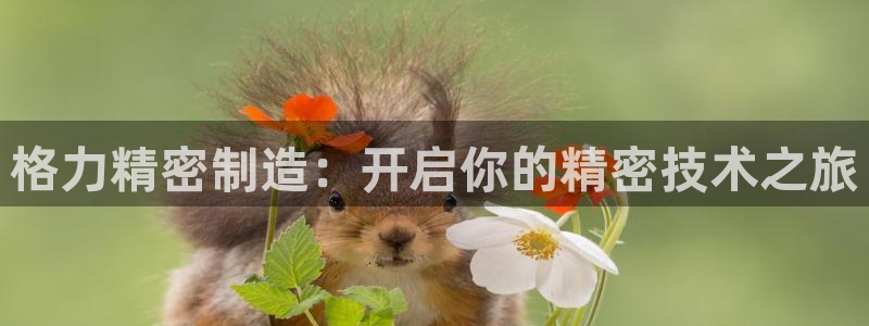彩神数码科技有限公司：格力精密制造：开启你的精密技术之旅