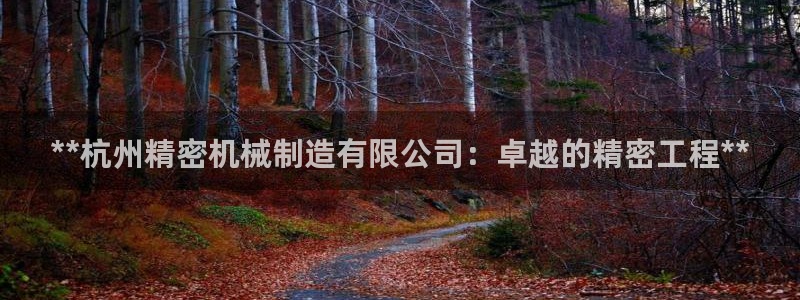 彩神vi争霸官网：**杭州精密机械制造有限公司：卓越的精密工程**