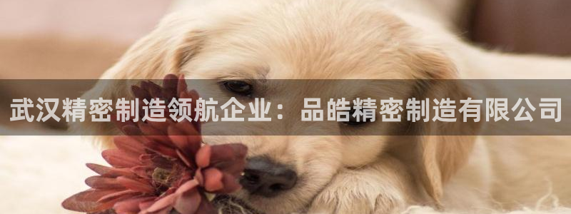 彩神平台之间是什么关系：武汉精密制造领航企业：品皓精密制造有限公司