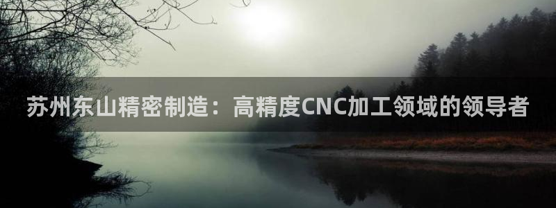 彩神v8是真的挣钱吗安全吗：苏州东山精密制造：高精度CNC加工领域的领导者
