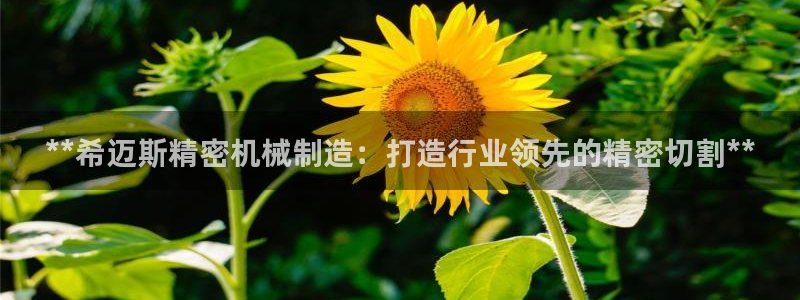 所有彩神购买首页：**希迈斯精密机械制造：打造行业领先的精密切割**