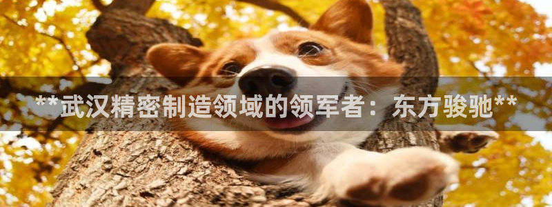 彩神赢钱了吗知乎：**武汉精密制造领域的领军者：东方骏驰**