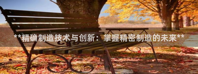新版彩神v8登录：**精确制造技术与创新：掌握精密制造的未来**