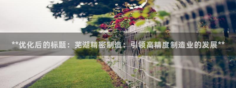天天彩神welcome：**优化后的标题：芜湖精密制造：引领高精度制造业的发展**