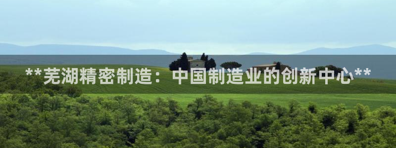 彩神vii购彩l心：**芜湖精密制造：中国制造业的创新中心**