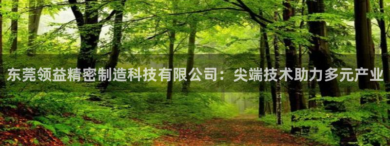 彩神是怎样一个平台：东莞领益精密制造科技有限公司：尖端技术助力多元产业