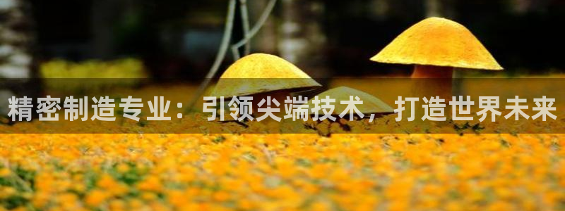 彩神v平台：精密制造专业：引领尖端技术，打造世界未来