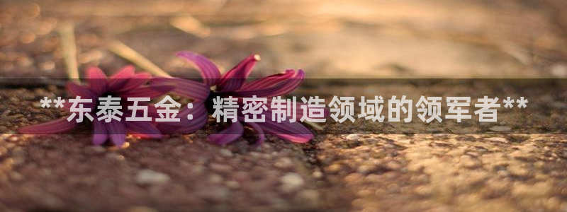 彩神争霸官方登录：**东泰五金：精密制造领域的领军者**