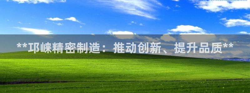 彩神v天天：**邛崃精密制造：推动创新、提升品质**