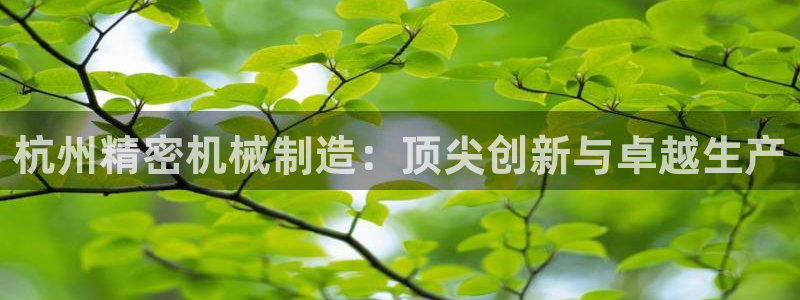 彩神iv是正规平台吗?：杭州精密机械制造：顶尖创新与卓越生产