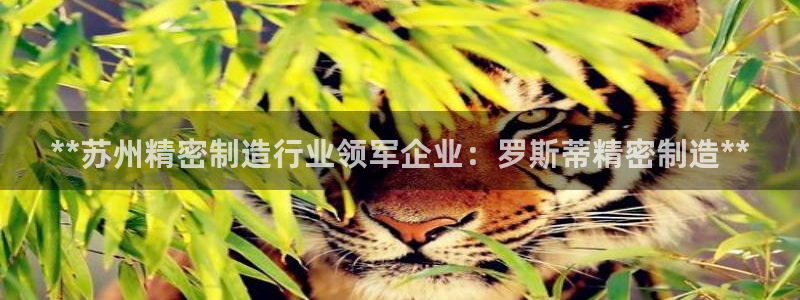 彩神velcome购彩大厅：**苏州精密制造行业领军企业：罗斯蒂精密制造**