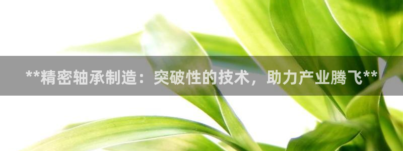 彩神购彩-购彩大厅入口计划群：**精密轴承制造：突破性的技术，助力产业腾飞**