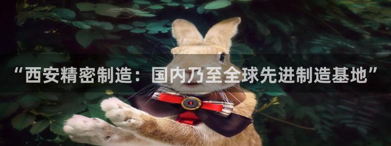 有谁知道彩神争霸的网址：“西安精密制造：国内乃至全球先进制造基地”