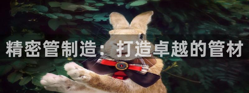 新版彩神v8登录不了：精密管制造：打造卓越的管材