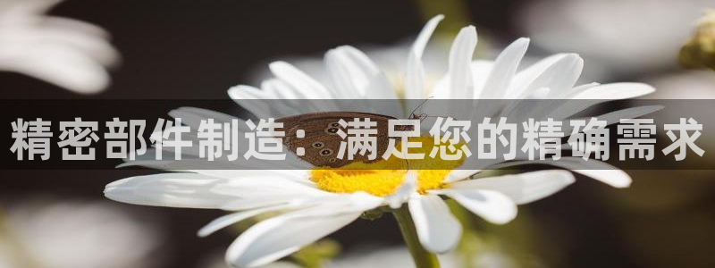 彩神8下载安卓版-彩神8(可提现)官网版1.0.0：精密部件制造：满足您的精确需求