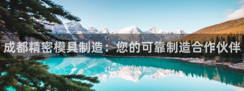 彩神VII购彩中心：成都精密模具制造：您的可靠制造合作伙伴