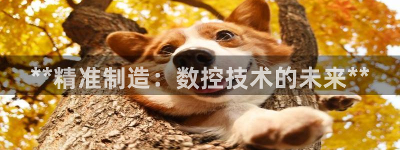 所有彩神购买首页：**精准制造：数控技术的未来**