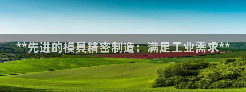 彩神可以提现吗：**先进的模具精密制造：满足工业需求**