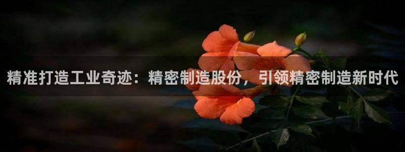 彩神v1破解器：精准打造工业奇迹：精密制造股份，引领精密制造新时代
