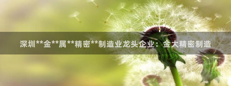 彩神v8下载：深圳**金**属**精密**制造业龙头企业：金大精密制造