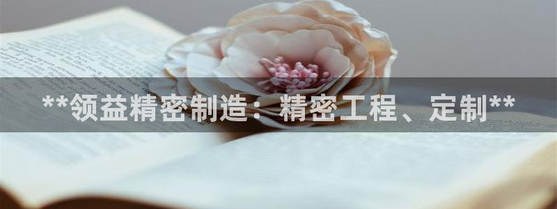 彩神8下载安卓版-彩神8(可提现)官网版1.0.0：**领益精密制造：精密工程、定制**