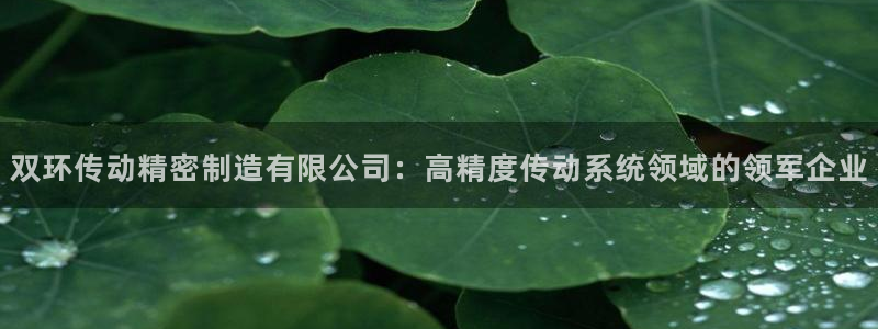 彩神v8手机客户端下载：双环传动精密制造有限公司：高精度传动系统领域的领军企业
